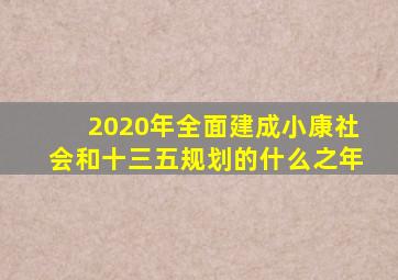 2020年全面建成小康社会和十三五规划的什么之年