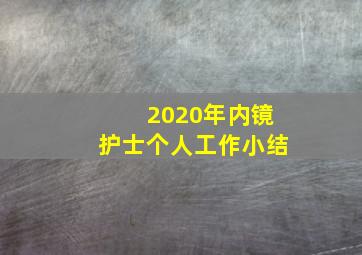 2020年内镜护士个人工作小结