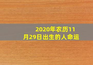 2020年农历11月29日出生的人命运