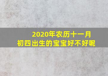 2020年农历十一月初四出生的宝宝好不好呢