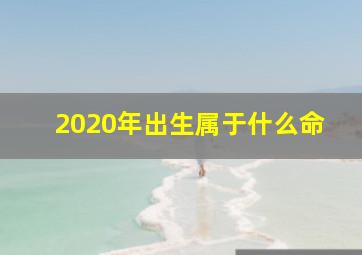 2020年出生属于什么命