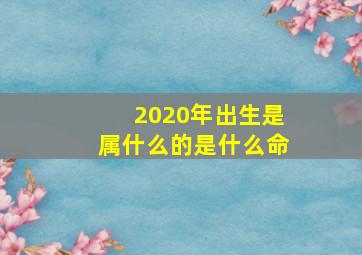 2020年出生是属什么的是什么命