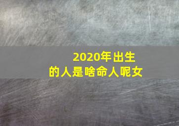 2020年出生的人是啥命人呢女