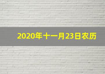 2020年十一月23日农历