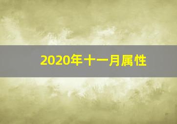 2020年十一月属性