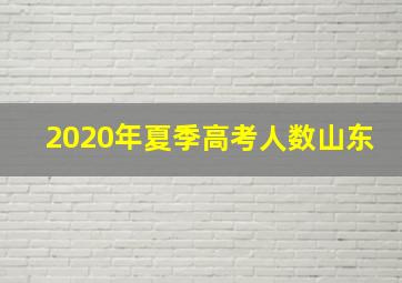 2020年夏季高考人数山东