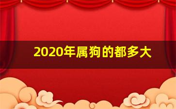 2020年属狗的都多大