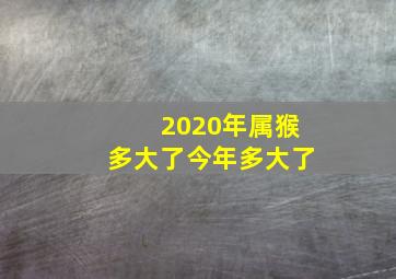 2020年属猴多大了今年多大了