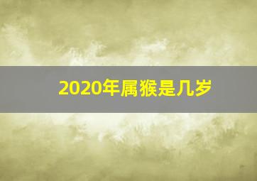 2020年属猴是几岁