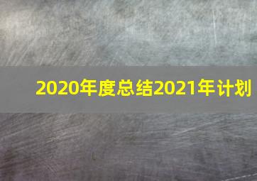 2020年度总结2021年计划