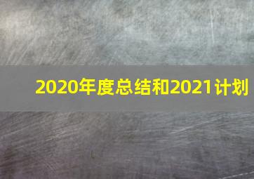 2020年度总结和2021计划