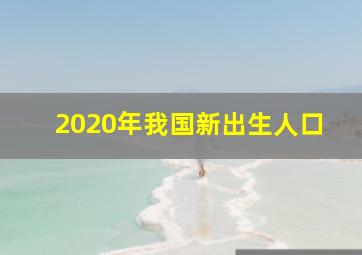 2020年我国新出生人口