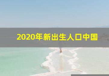 2020年新出生人口中国