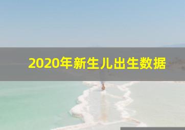 2020年新生儿出生数据