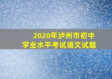 2020年泸州市初中学业水平考试语文试题