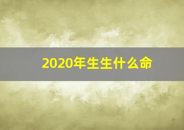 2020年生生什么命