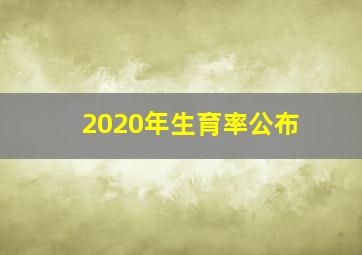 2020年生育率公布