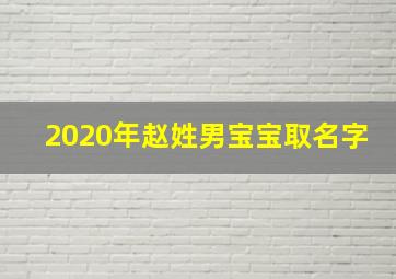 2020年赵姓男宝宝取名字