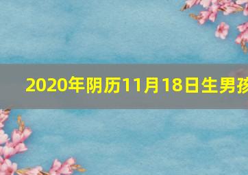 2020年阴历11月18日生男孩