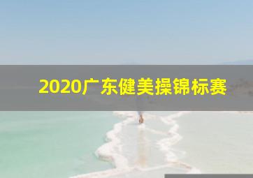 2020广东健美操锦标赛