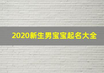 2020新生男宝宝起名大全