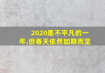 2020是不平凡的一年,但春天依然如期而至