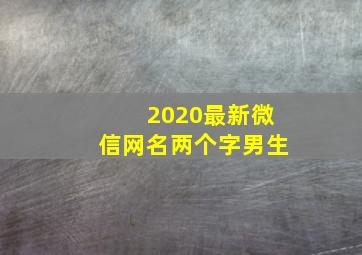 2020最新微信网名两个字男生