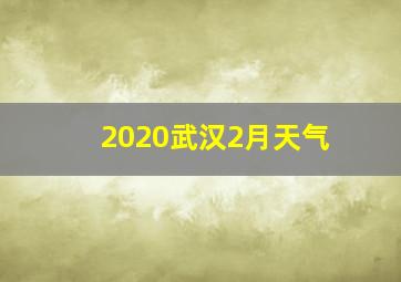 2020武汉2月天气