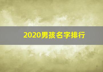 2020男孩名字排行