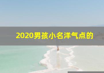 2020男孩小名洋气点的