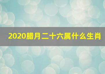 2020腊月二十六属什么生肖