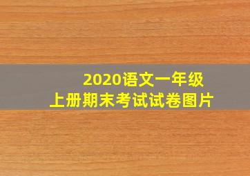 2020语文一年级上册期末考试试卷图片