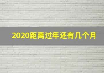 2020距离过年还有几个月