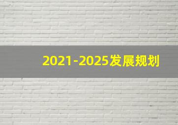 2021-2025发展规划