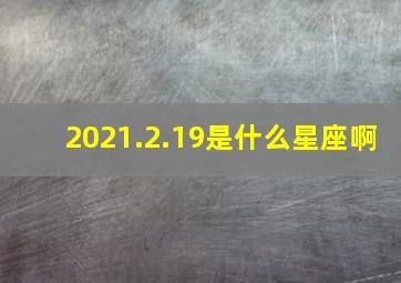 2021.2.19是什么星座啊