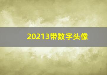 20213带数字头像