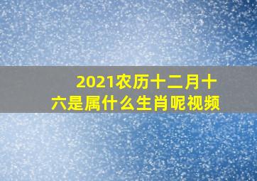 2021农历十二月十六是属什么生肖呢视频