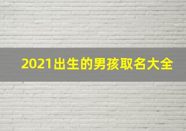 2021出生的男孩取名大全