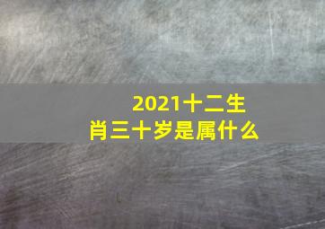 2021十二生肖三十岁是属什么