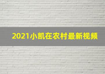 2021小凯在农村最新视频