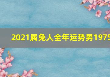 2021属兔人全年运势男1975