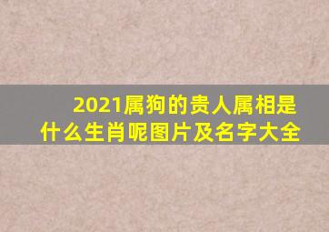 2021属狗的贵人属相是什么生肖呢图片及名字大全