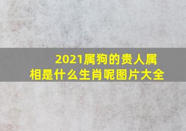 2021属狗的贵人属相是什么生肖呢图片大全