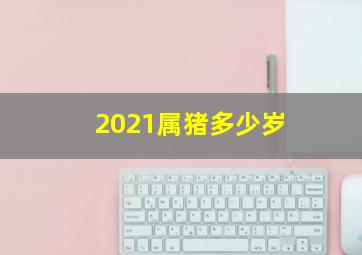 2021属猪多少岁