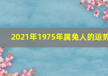 2021年1975年属兔人的运势