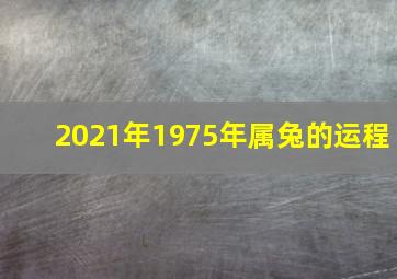 2021年1975年属兔的运程