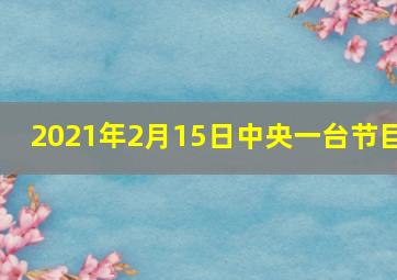 2021年2月15日中央一台节目