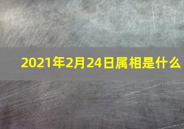 2021年2月24日属相是什么