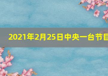 2021年2月25日中央一台节目