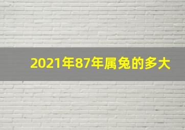 2021年87年属兔的多大